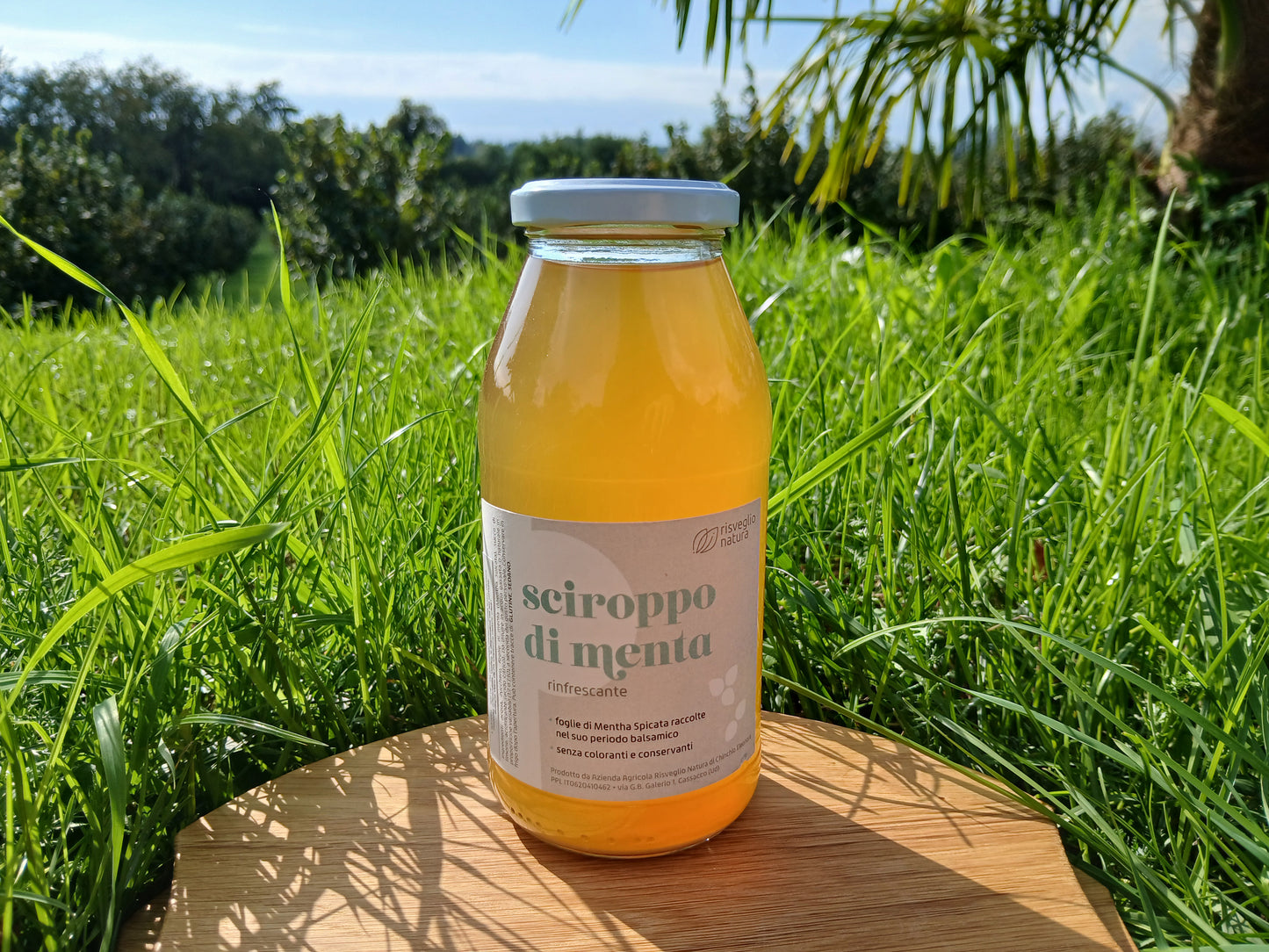 Sciroppo di Menta Spicata