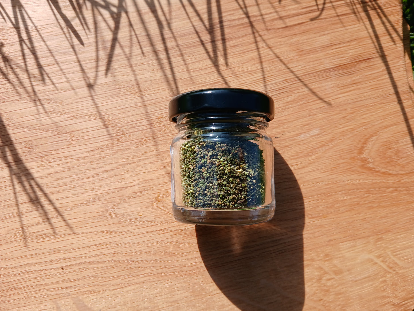 Semi di Ortica Tostati - Versione Mignòn