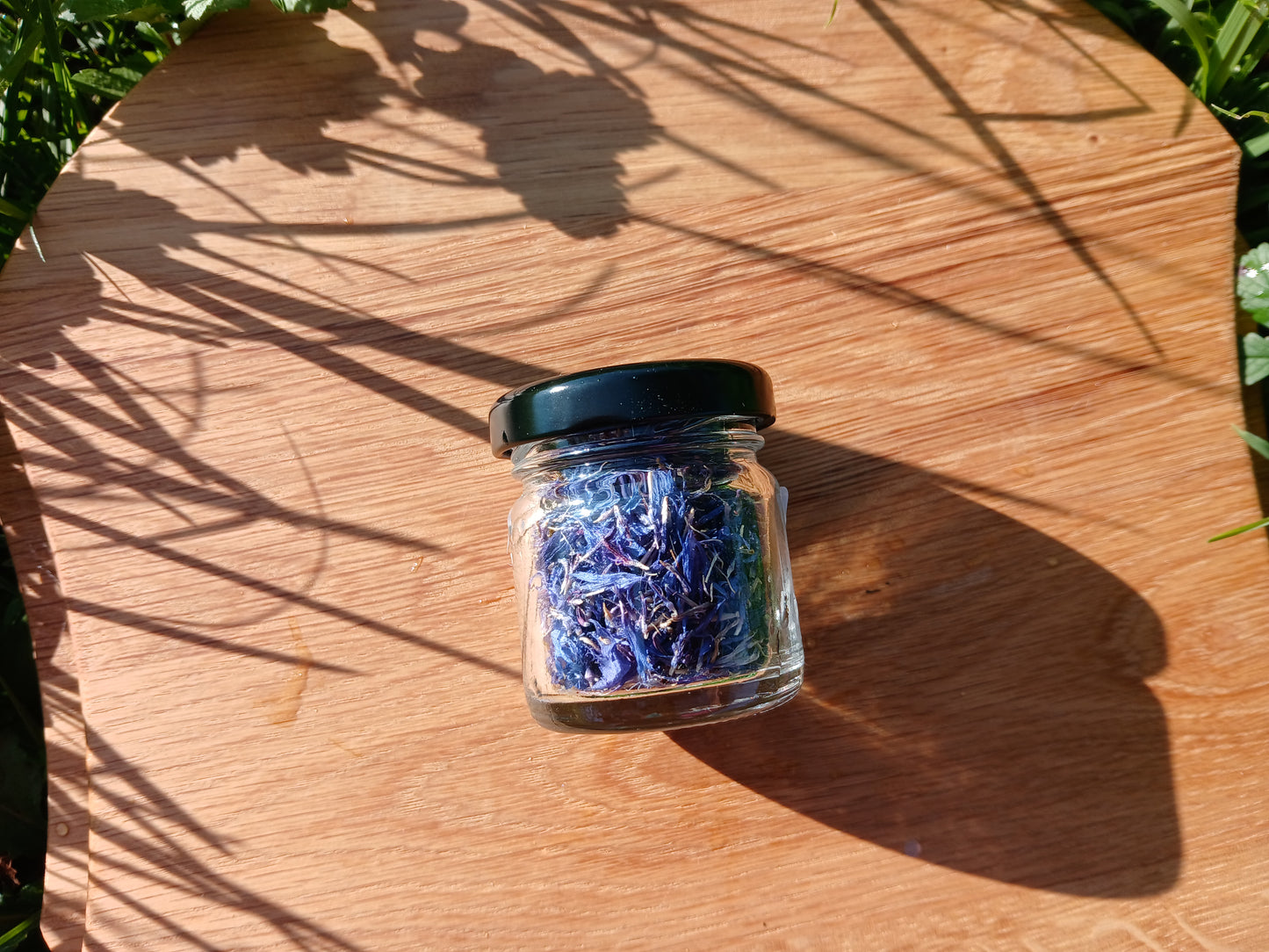 Fiori Eduli Essiccati - Fiordaliso BLU