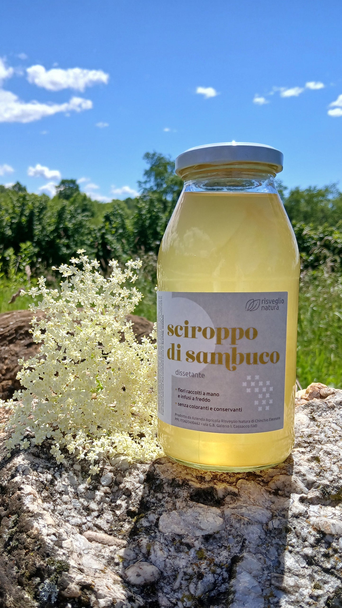 Sciroppo di Fiori di Sambuco (-20% Zucchero)