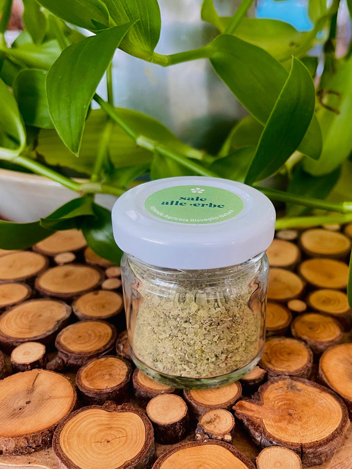 Sale alle erbe Mediterraneo Mignon